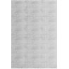 Tapis graphique aspect viscose moderne Alva