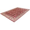 Tapis rouge avec franges ethnique oriental Bakthiari