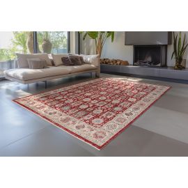 Tapis rouge avec franges ethnique oriental Bakthiari