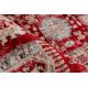 Tapis rouge avec franges ethnique oriental Bakthiari