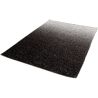 Tapis recyclé dégradé design rectangle Haru